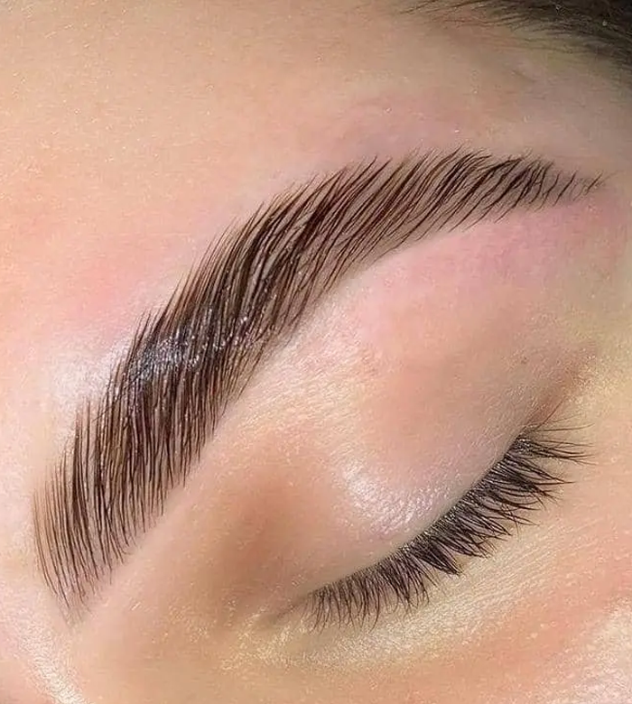 Eyebrow Lamination